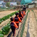 YMCA 어린이집 이미지