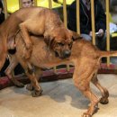 근수농장 이미지