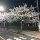신혜성약국 | [보물섬투어 패키지] 일본 오사카 2박 3일 (3월 14일 _3일 차_마지막 날)