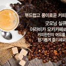 모카 카페 이미지