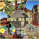 고향연가 | 강원도 계곡 독채 펜션 양양 가족 여행 설악산 계곡이 앞마당인 숙소 오색연가