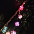 솔밭에덴하우스 이미지