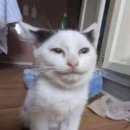 다(多)가치 새활용 프로젝트 <다시, 봄> | [DIG-ROCK] 세컨라까지의 여정 : 그건 아마 우리의 잘못은 아닐 거야 다 민트립 잘못일 거야