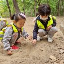 4월-두류공원 숲체험🍀2 이미지