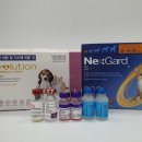 원 동물약국 이미지