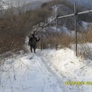 두미목장 이미지