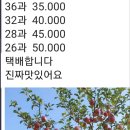 올해도회원님들도움을받고싶네요청송꿀사과 이미지