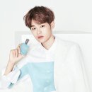 원클린 Daum카페