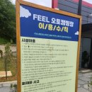 화성 전곡항 신상캠핑장 &#39;필캠핑장&#39; B4 사이트 상세 후기