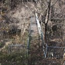 철만농장 이미지