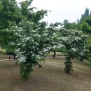 한가람공원 이미지