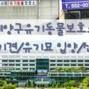 신영재동물병원 이미지