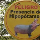 하마 농장 이미지