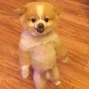 용수초등학교 이미지