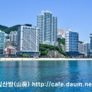 암남공원 Daum카페