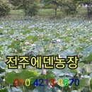 병학농장 네이버블로그
