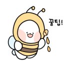 코끼리문구