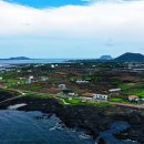 탐라도다 이미지