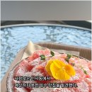 커피솜