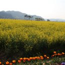 낙동강변16 이미지