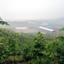 금왕사우나 이미지