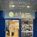 요가2.(오후반) | 대전 관평동 요가 추천 요가숲 필라테스와 요가를 같이 하는 곳
