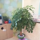 해피치과의원 이미지