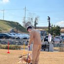 도그헬퍼 이미지