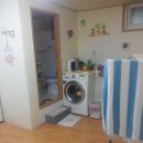 강동초교 이미지