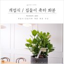 보리스플라워 이미지