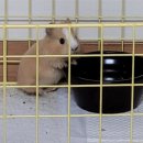 특별한 동물가게 이미지