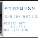 심성공인중개사사무소 네이버블로그
