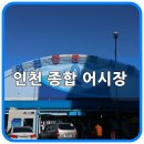 회41호