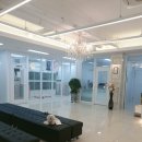 쪼꼬동물메디컬센터 이미지