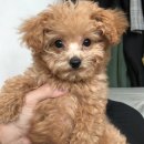 윤희농장 이미지