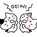 차해주헤어