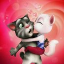 달달한 고양이 이미지