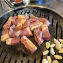 저팔계콧구멍 이미지