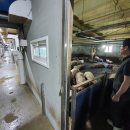 성우축사 이미지