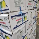 노랑제주
