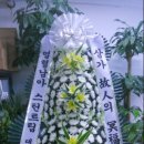 놀뫼과일