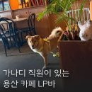 용산-268 | 서울 용산 강아지있는 빈티지카페 LP바 오오비