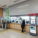 영월루 | [내돈내산] 나 혼자 뚜벅이 당일치기 여주 여행 (1) : 여주 박물관, 신륵사, 남한강, 영월루 토끼 구경