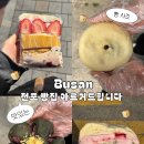 아니버 | 부산 빵지순례 전포 빵집 3곳 추천 희와제과 아니버 허대빵 후기
