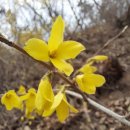 새순펜션 이미지