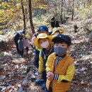 푸른스쿨어린이집 이미지