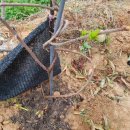 직산농장 이미지