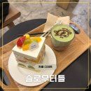 슬로우도 | 대구 동성로 케이크 맛집 카페 슬로우터틀 약전골목점 내돈내산 후기