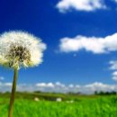 구상목장 이미지