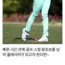 백암스크린 네이버블로그